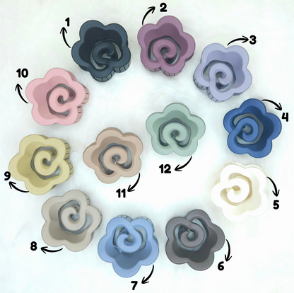 Colorful hair claws arranged in a circular pattern with labeled colors on a white background