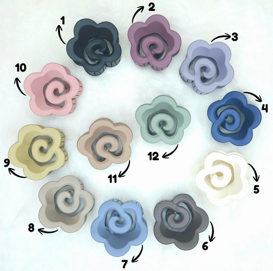 Colorful hair claws arranged in a circular pattern with labeled colors on a white background