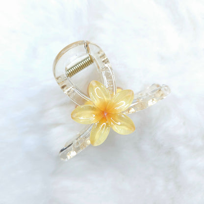 Lily Dream Loop Hair Claw